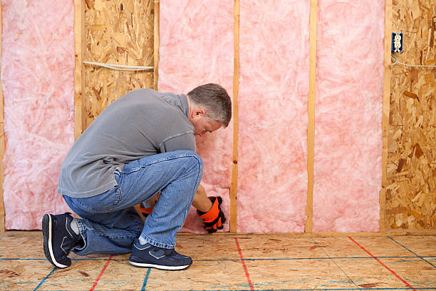 Best Insulation Installation Services in North Edwards, CA